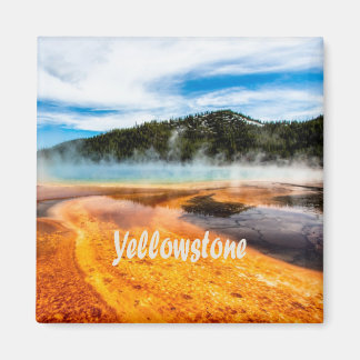 Yellowstone Nationalpark Berge Naturtiere Magnet