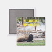 Yellowstone Nationalpark Bison Magnet (Vorderseite/Rückseite)