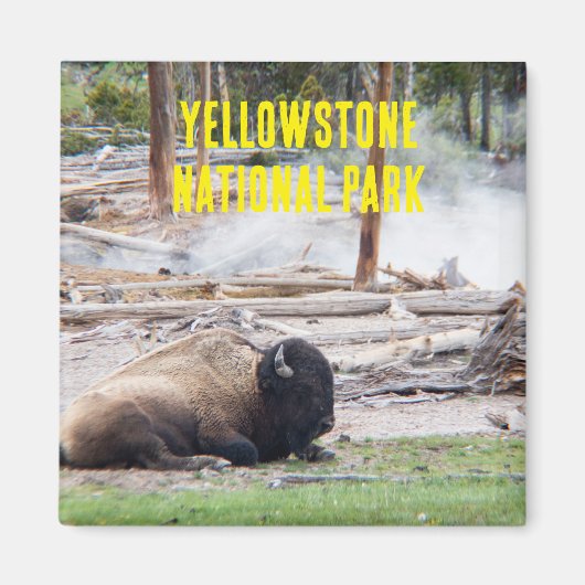 Yellowstone Nationalpark Bison Magnet (Vorne)