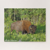 Yellowstone Nationalpark Bison Puzzle (Horizontal)