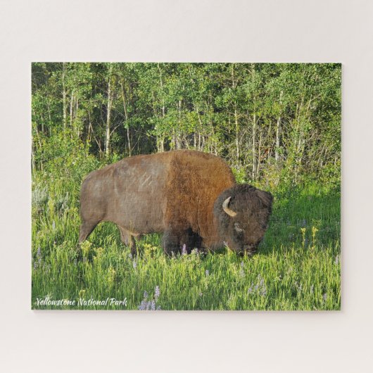 Yellowstone Nationalpark Bison Puzzle (Horizontal)