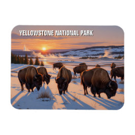 Yellowstone Nationalpark biss Magnet