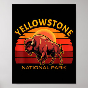 Yellowstone Nationalpark Büffel Bison Sonnenunterg Poster