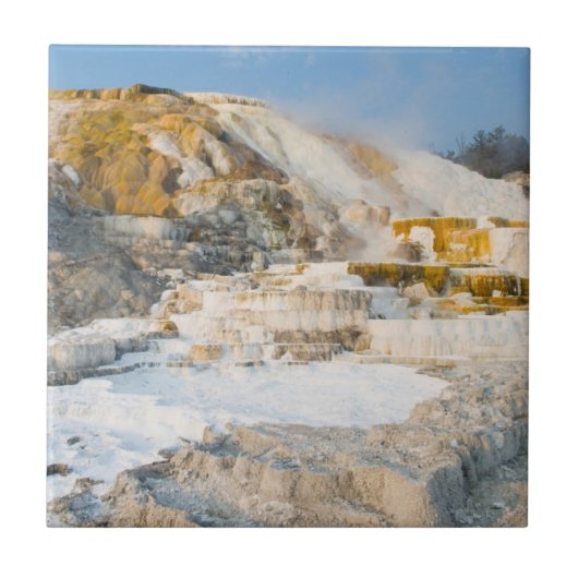 Yellowstone Nationalpark Fliese (Vorderseite)