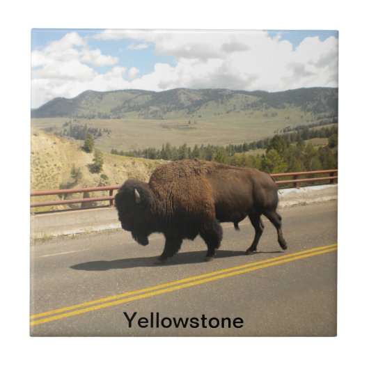 Yellowstone Nationalpark Fliese (2) (Vorderseite)