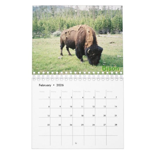 Yellowstone Nationalpark Foto-Kalender Kalender (Feb 2026)