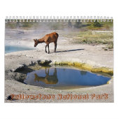 Yellowstone Nationalpark Kalender (Titelbild)
