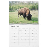 Yellowstone Nationalpark Kalender (Feb 2027)