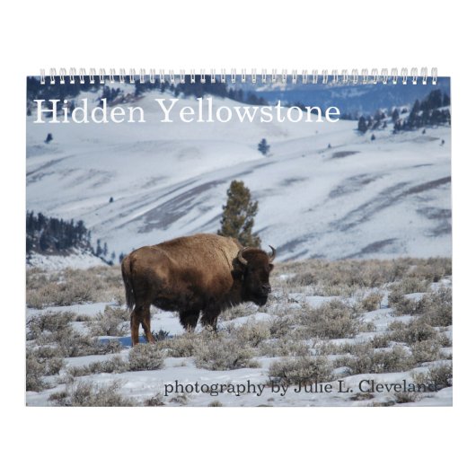 Yellowstone Nationalpark-Kalender Kalender (Titelbild)