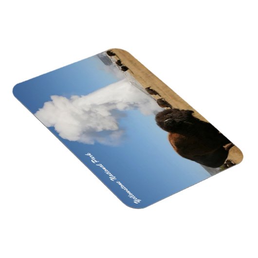 Yellowstone-Nationalpark Magnet (Rechte Seite)