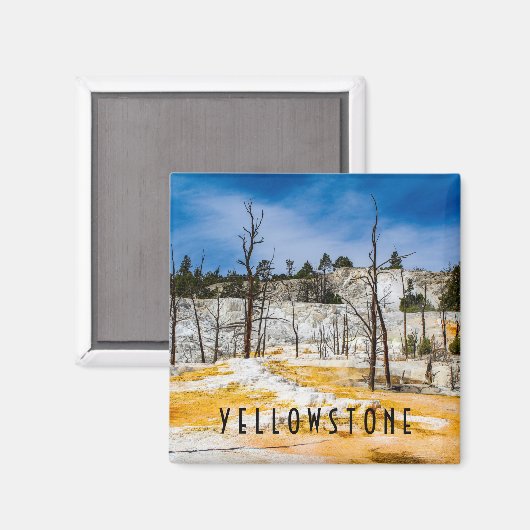 Yellowstone-Nationalpark Magnet (Vorderseite/Rückseite)