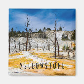 Yellowstone-Nationalpark Magnet (Vorne)