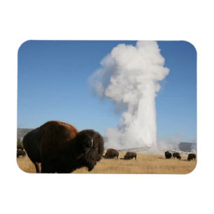 Yellowstone-Nationalpark Magnet