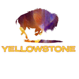 Yellowstone Nationalpark mit Bär T-Shirt