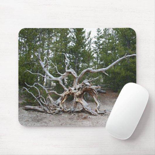 Yellowstone Nationalpark Mouse Pad Mousepad (Mit Mouse)