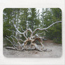 Yellowstone Nationalpark Mouse Pad Mousepad