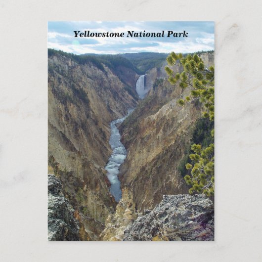 Yellowstone Nationalpark Postcard Postkarte (Vorderseite)
