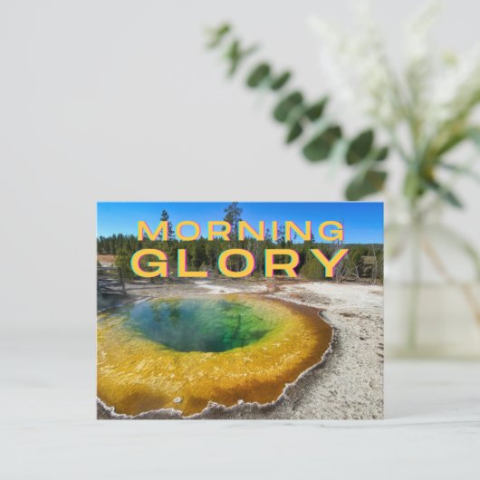 Yellowstone Nationalpark Postcard Postkarte (Stehend Vorderseite)