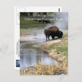 Yellowstone Nationalpark Postcard Postkarte (Vorne/Hinten)