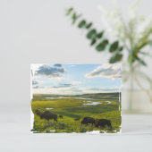 Yellowstone Nationalpark Postcard Postkarte (Stehend Vorderseite)