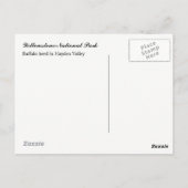 Yellowstone Nationalpark Postcard Postkarte (Rückseite)