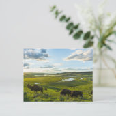 Yellowstone Nationalpark Postcard Postkarte (Stehend Vorderseite)