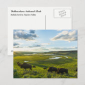 Yellowstone Nationalpark Postcard Postkarte (Vorne/Hinten)