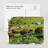 Yellowstone Nationalpark Postcard Postkarte (Vorne/Hinten)