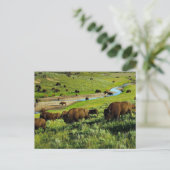 Yellowstone Nationalpark Postcard Postkarte (Stehend Vorderseite)