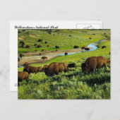 Yellowstone Nationalpark Postcard Postkarte (Vorne/Hinten)