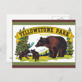 Yellowstone Nationalpark Postcard Postkarte (Vorne/Hinten)