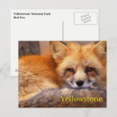 Yellowstone Nationalpark Postcard Postkarte (Vorne/Hinten)