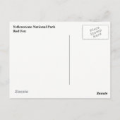 Yellowstone Nationalpark Postcard Postkarte (Rückseite)