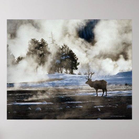 Yellowstone-Nationalpark Poster (Vorne)