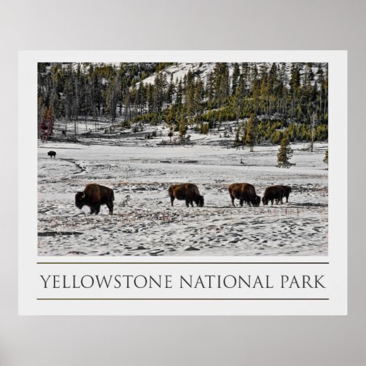 Yellowstone-Nationalpark Poster (Vorne)