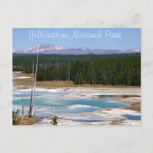 Yellowstone-Nationalpark Postkarte (Vorderseite)