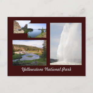 Yellowstone-Nationalpark Postkarte