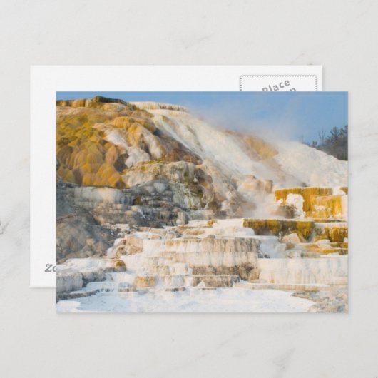 Yellowstone-Nationalpark Postkarte (Vorne/Hinten)