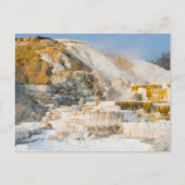 Yellowstone-Nationalpark Postkarte (Vorderseite)