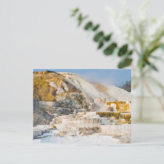 Yellowstone-Nationalpark Postkarte (Stehend Vorderseite)