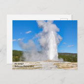 Yellowstone-Nationalpark Postkarte (Vorne/Hinten)