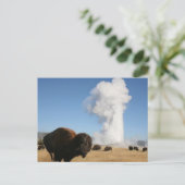 Yellowstone-Nationalpark Postkarte (Stehend Vorderseite)