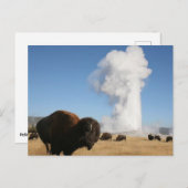 Yellowstone-Nationalpark Postkarte (Vorne/Hinten)