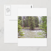 Yellowstone-Nationalpark Postkarte (Vorne/Hinten)