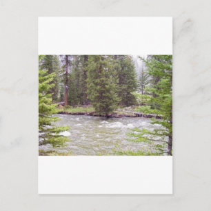 Yellowstone-Nationalpark Postkarte
