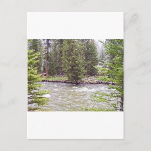 Yellowstone-Nationalpark Postkarte (Vorderseite)