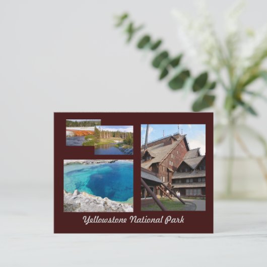 Yellowstone-Nationalpark Postkarte (Stehend Vorderseite)