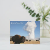 Yellowstone-Nationalpark Postkarte (Stehend Vorderseite)
