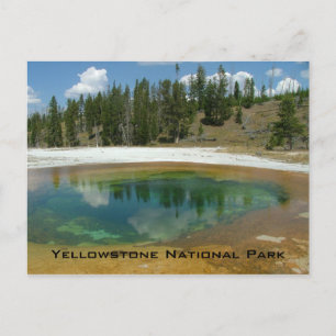 Yellowstone-Nationalpark Postkarte