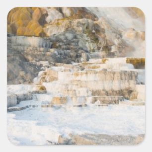 Yellowstone Nationalpark Quadratischer Aufkleber